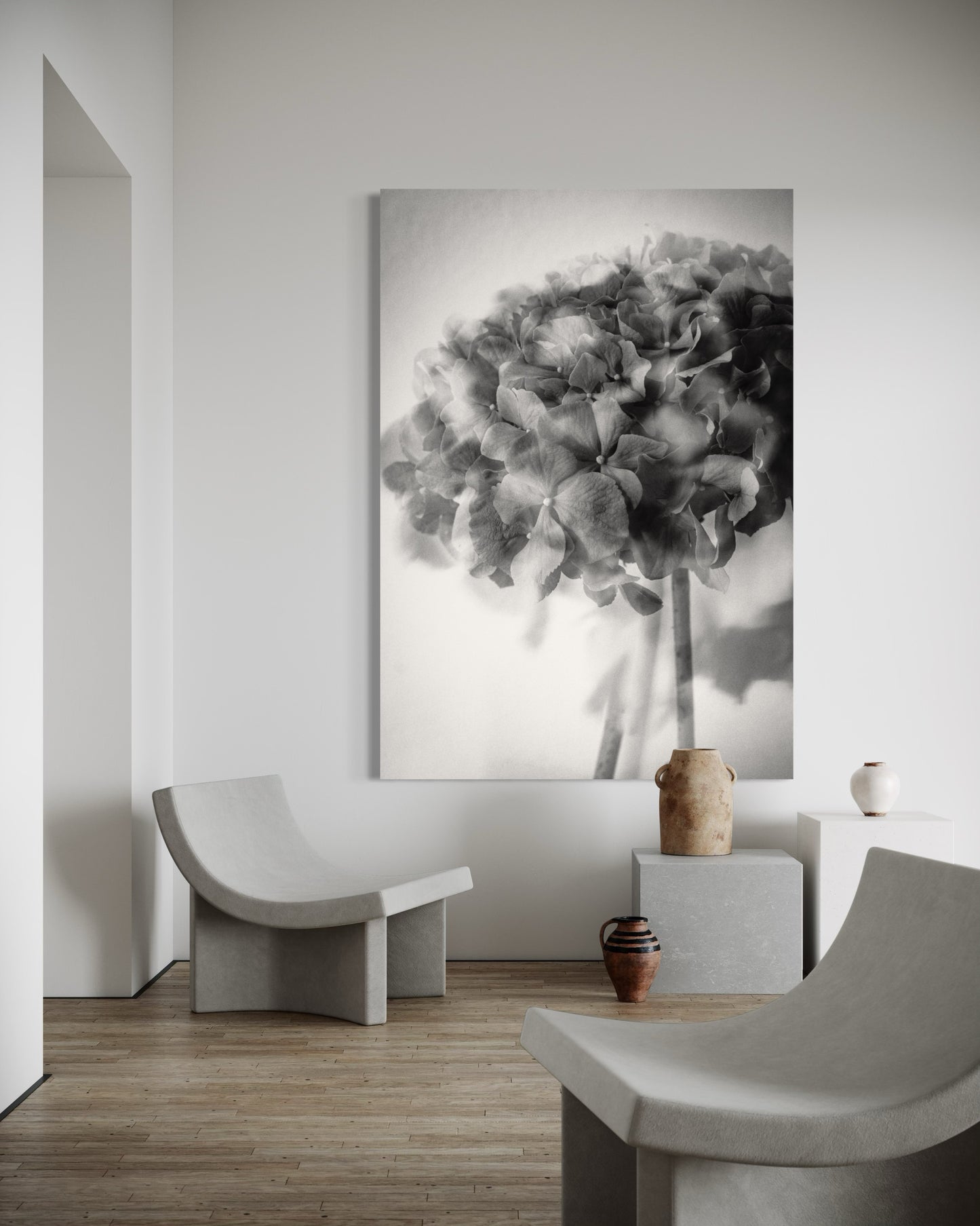 Photo Flower Hydrangea III-print