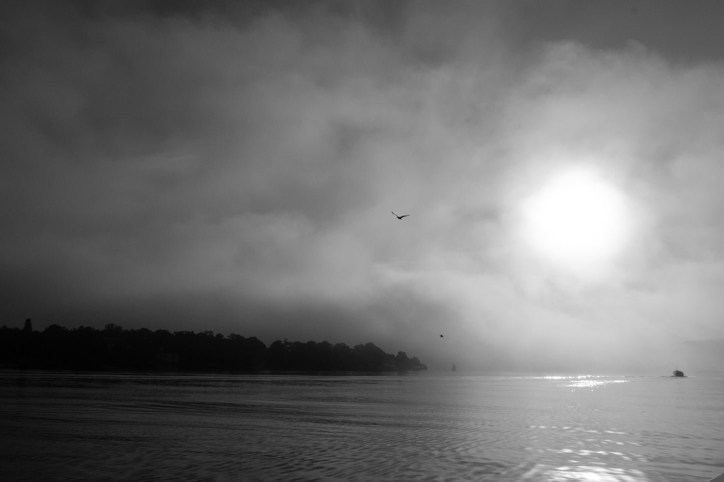 Water Haze I Landscape